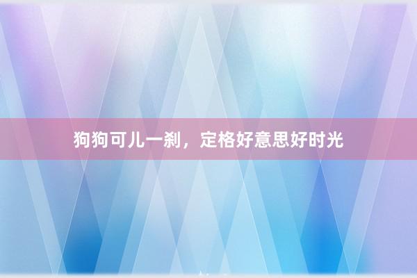 狗狗可儿一刹,定格好意思好时光